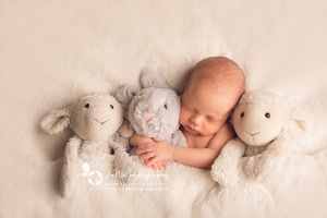Vancouver Newborn Photography - Newborn posing with his stuffed animal friends.
