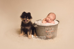 vancouver_newborn_photographer_jana_dog