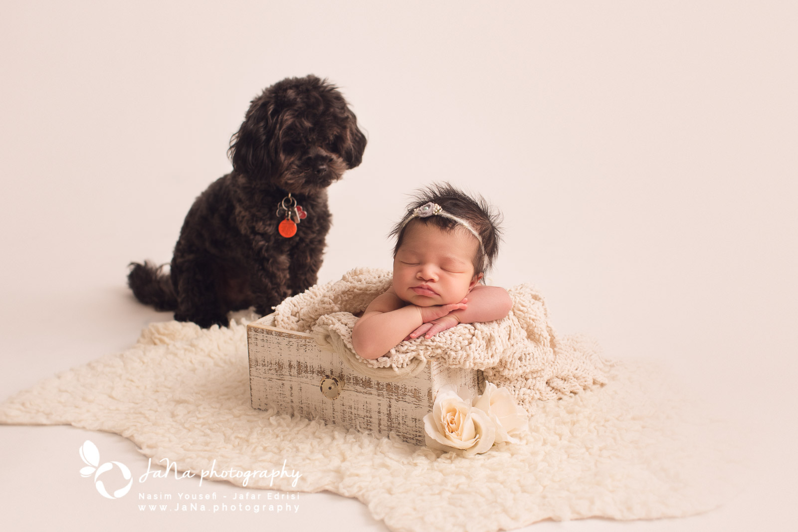 Newborn_maternity_photography_Deer_Lake-Park_Burnaby