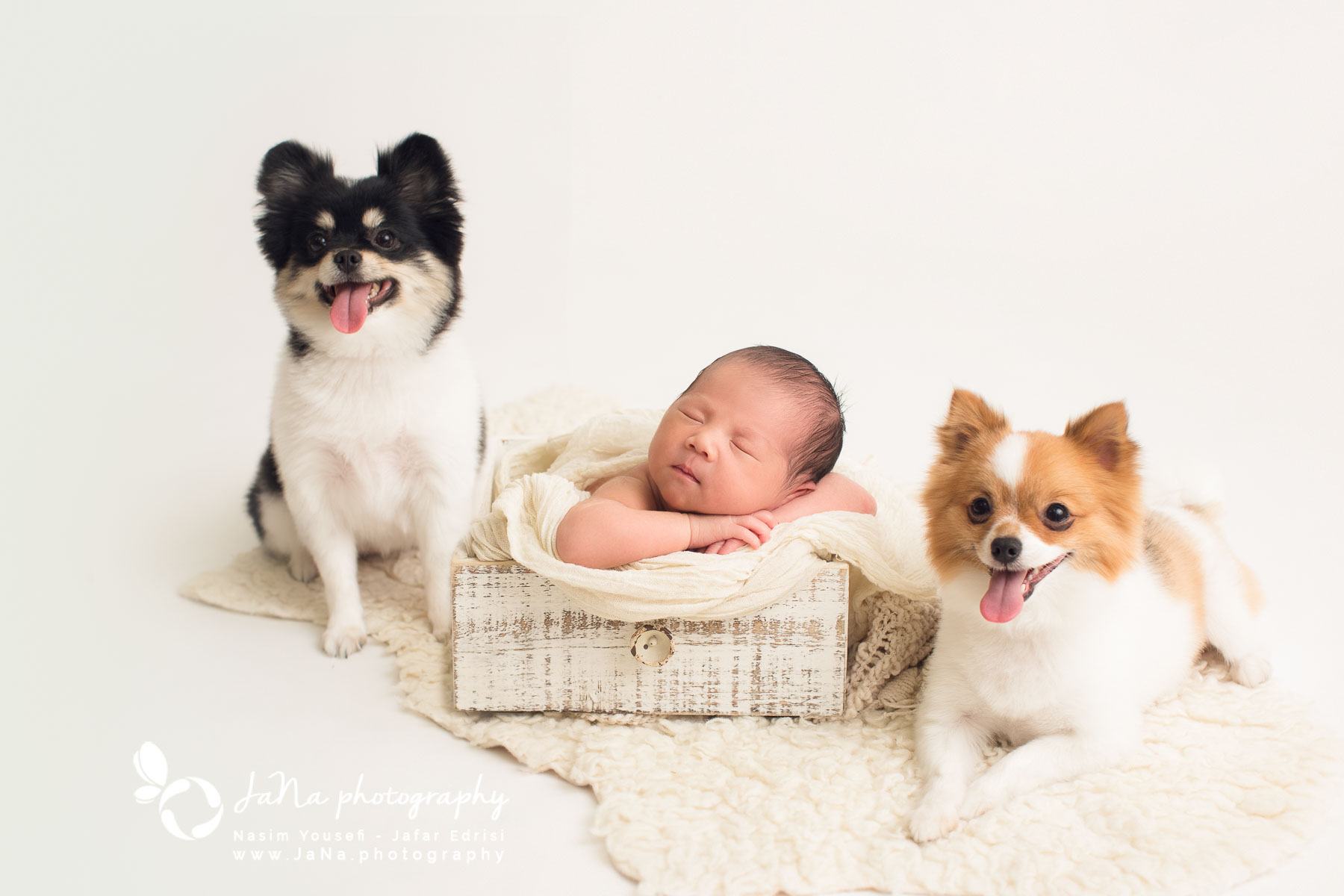 Richmond Newborn photography