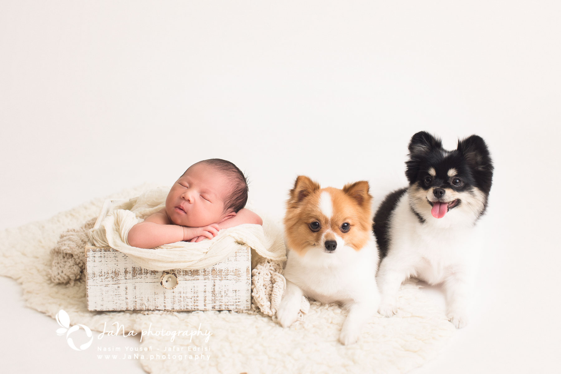 Richmond Newborn photography