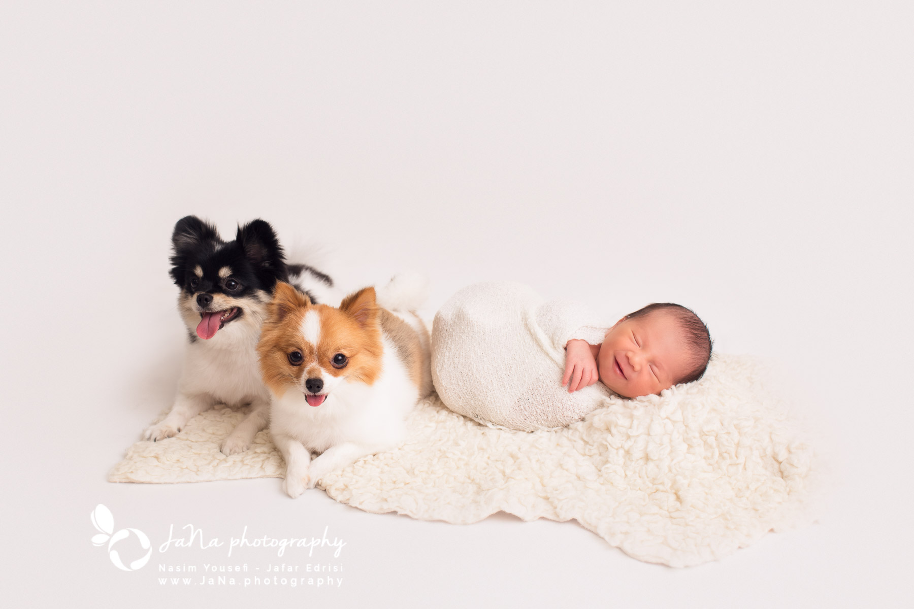 Richmond Newborn photography