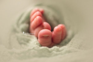 newborn photography - toes macro