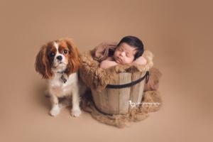 newborn photography with dog - brown setup