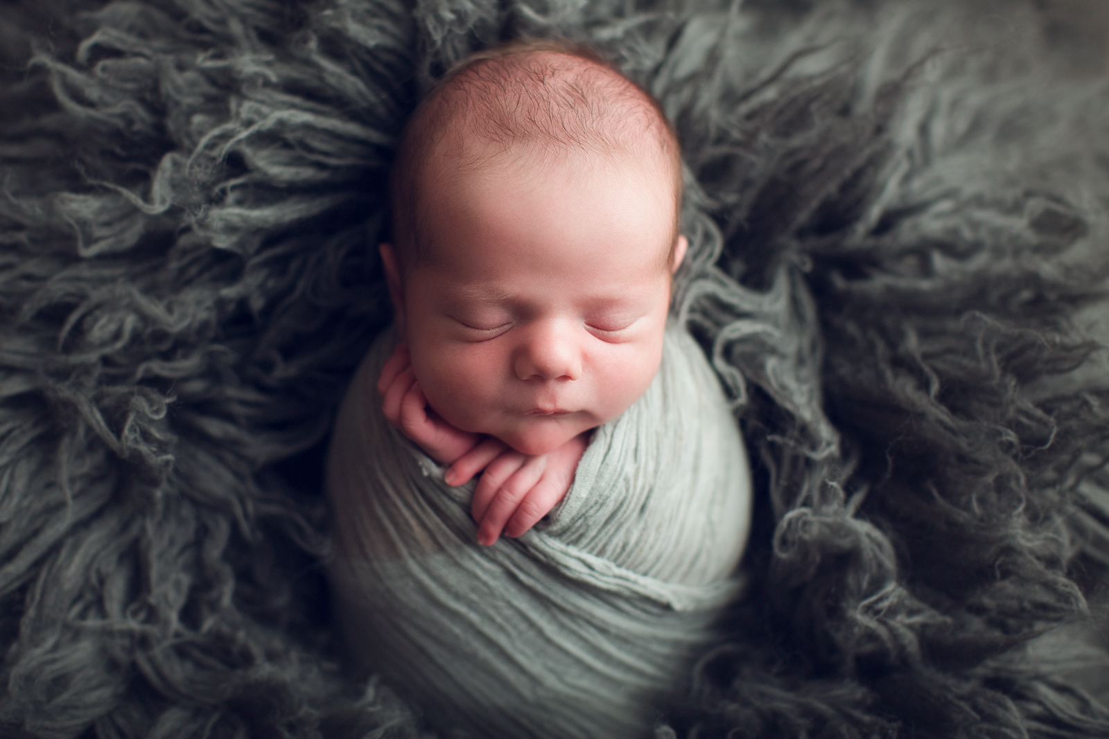 vancouver burnaby newborn photography - luca - gray fur