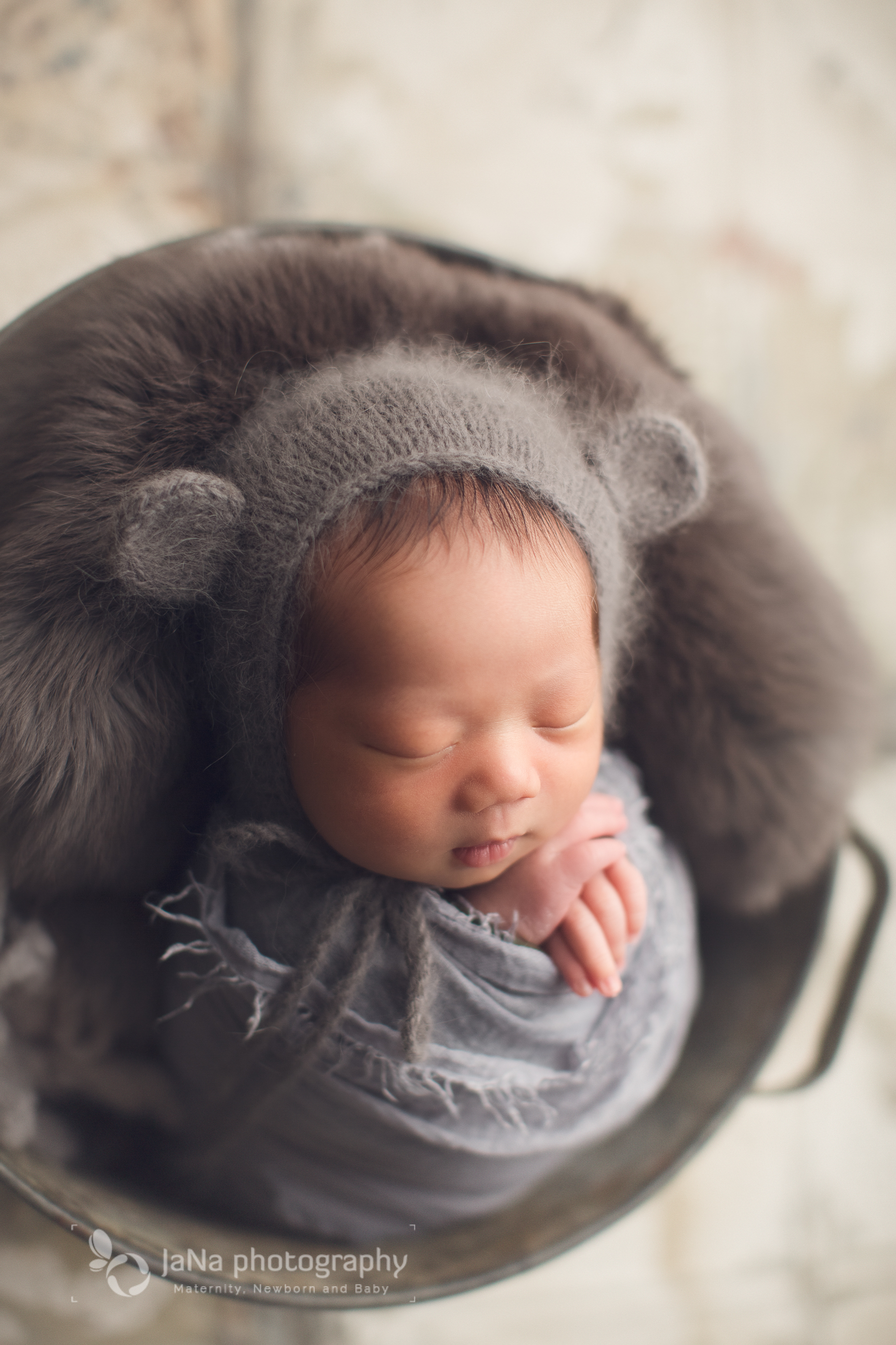 newborn photography - grey teddy bear bucket 