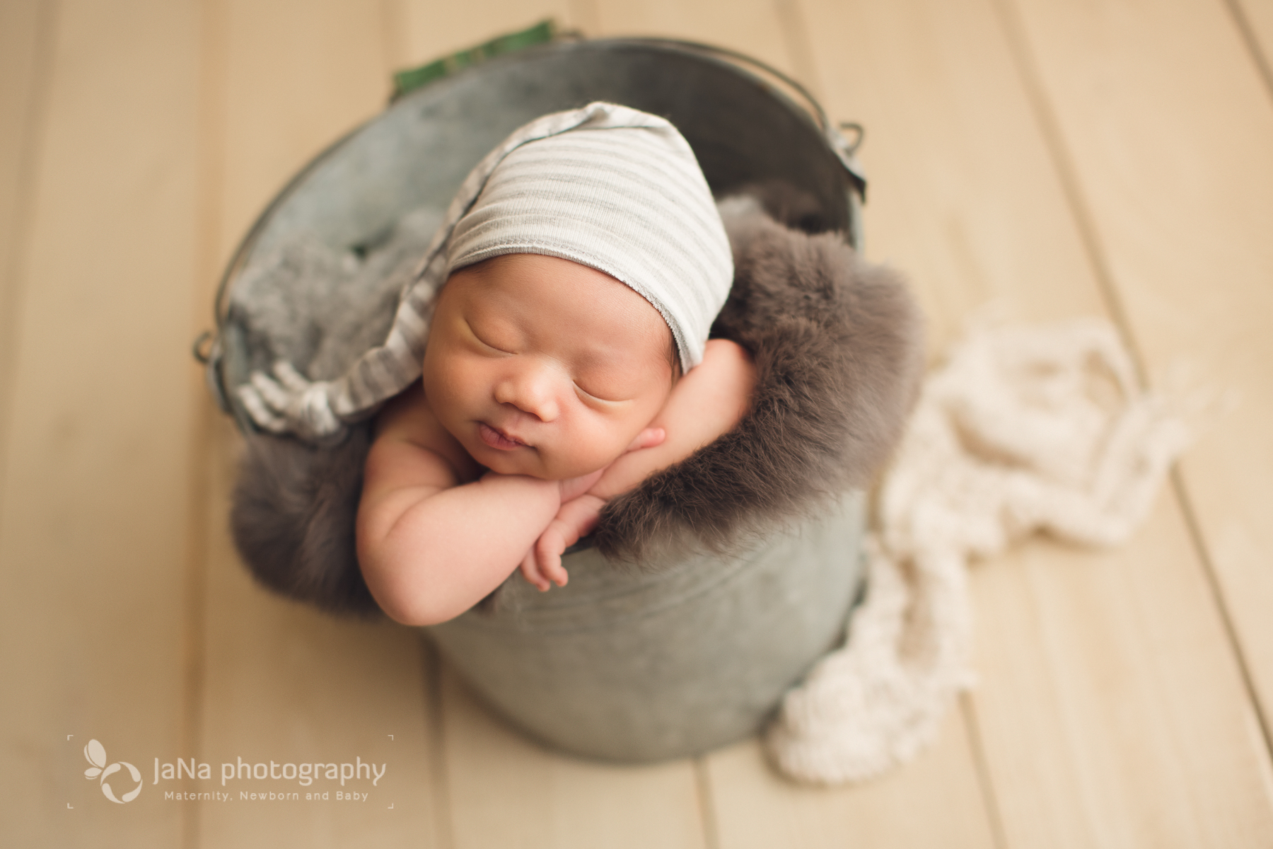 newborn photography - grey teddy bear bucket 