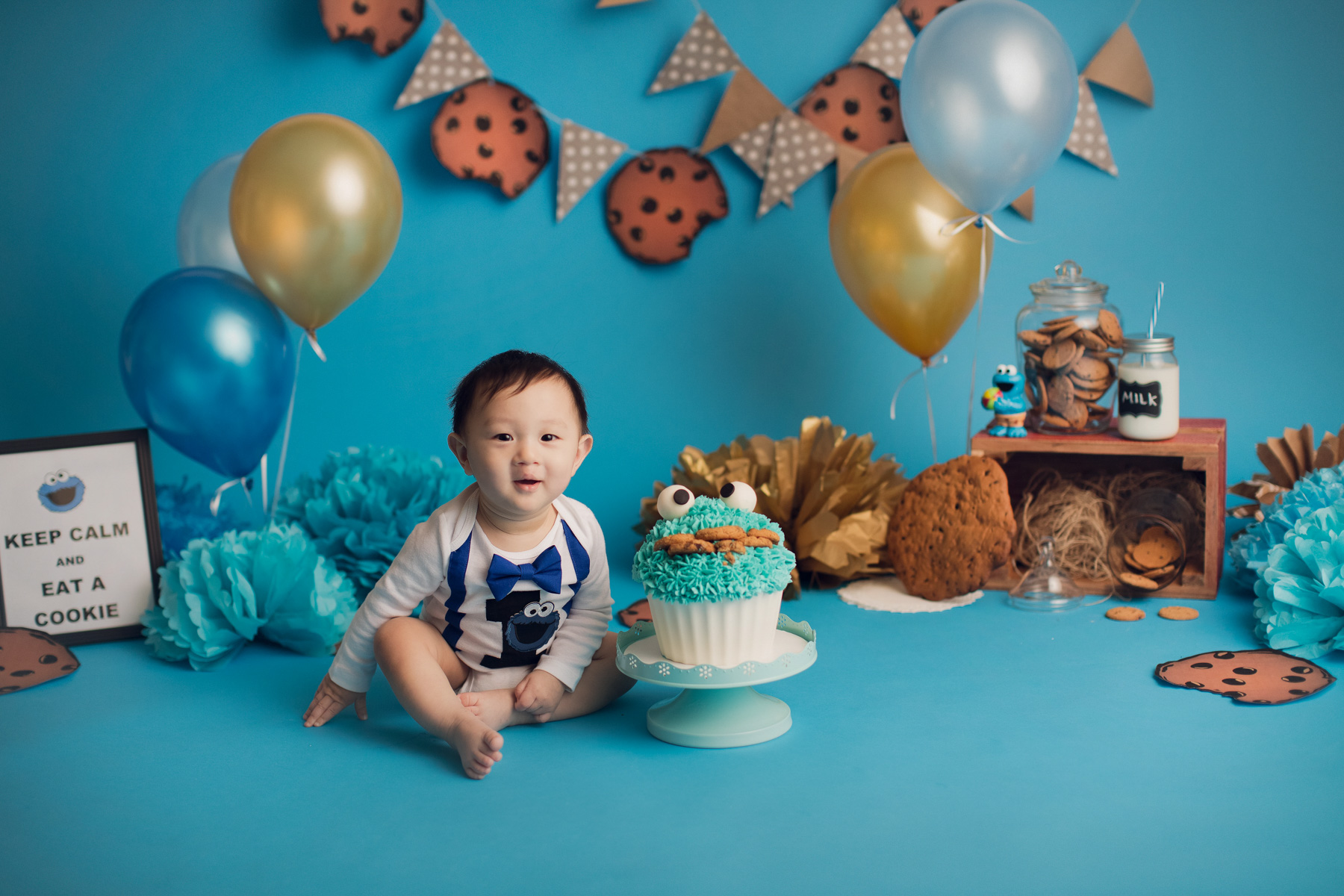 cookie monster theme - baby boy - cake smash photography