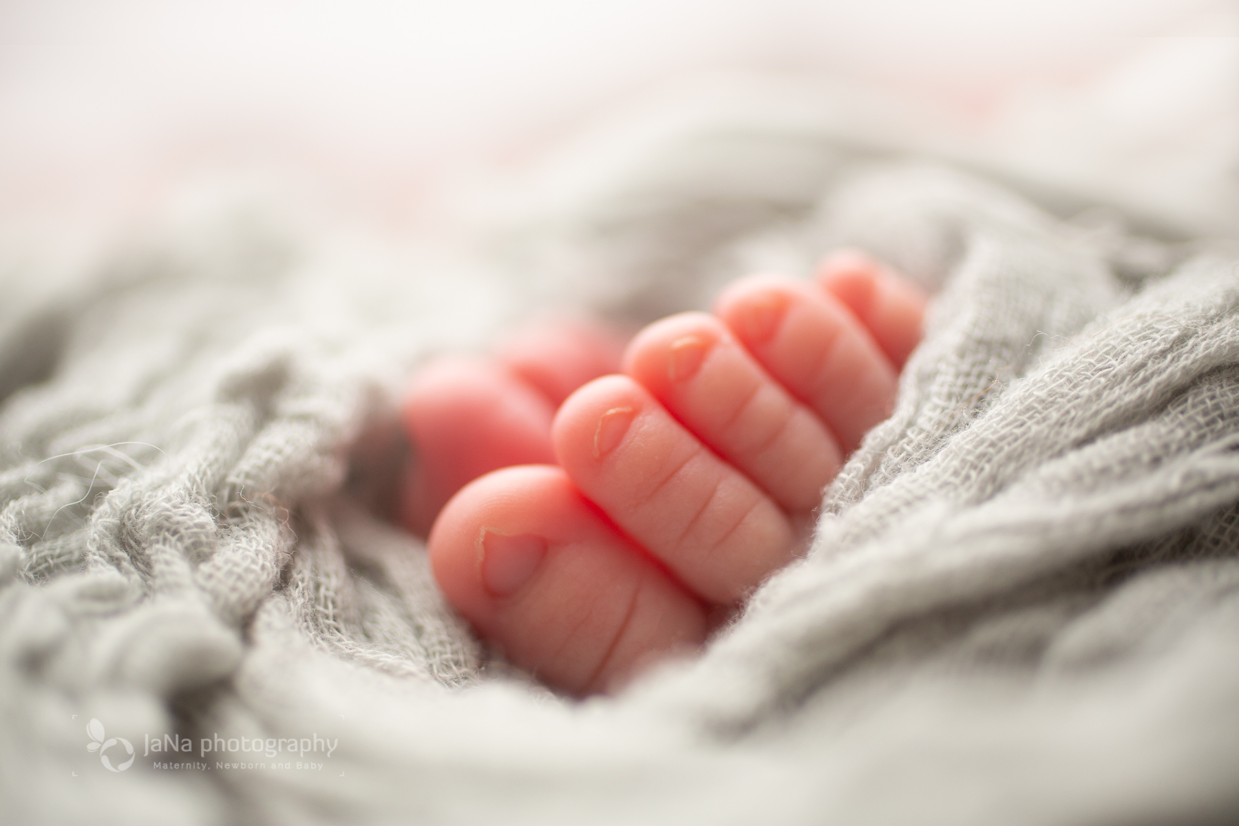 tiny toes - macro photography