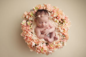 affordable vancouver newborn photography - flower nest
