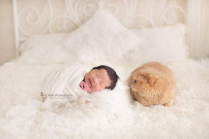 baby with pets-jana-photography