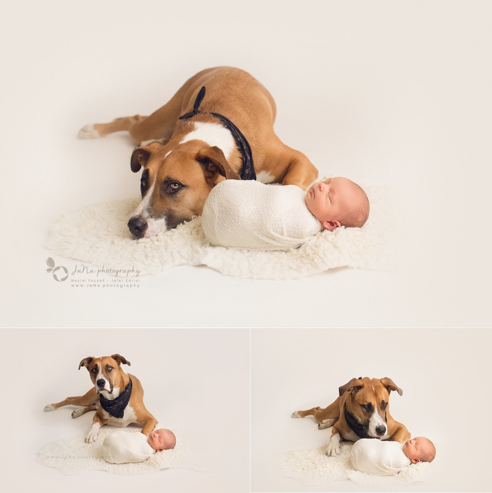 newborn baby boy with a big dog | Jana Vancouver bc