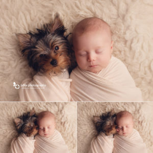 newborn-photography-puppy-dog