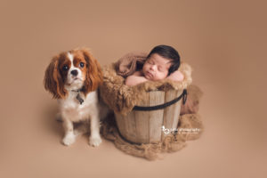 baby girl and cute small dog - newborn photography vancouver bc