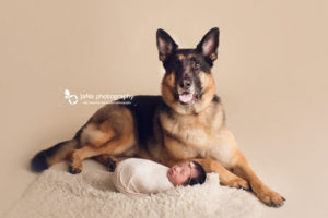 german shepherd and newborn baby girl | jana photography Vancouver BC
