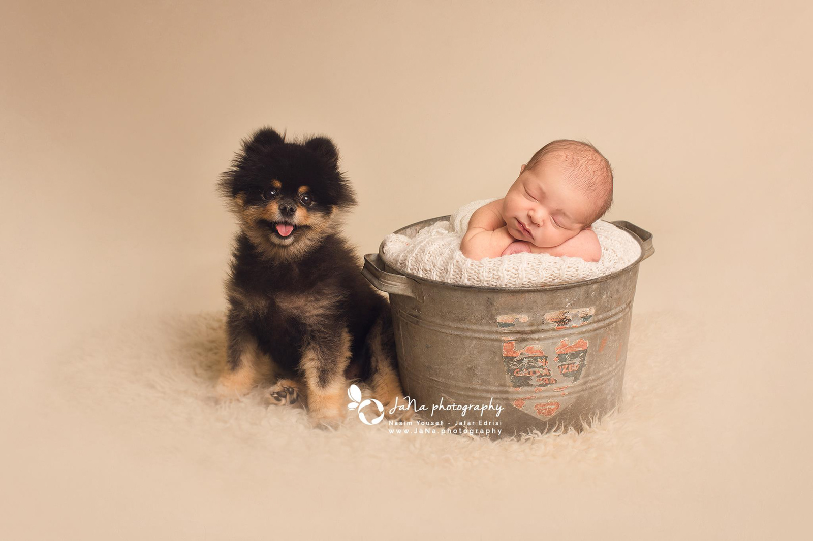 newborn baby boy and a black dog