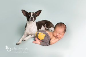 baby boy with dog in a blue background | jana photography