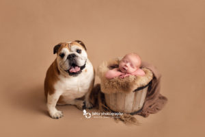 vancouver newborn photography with dog