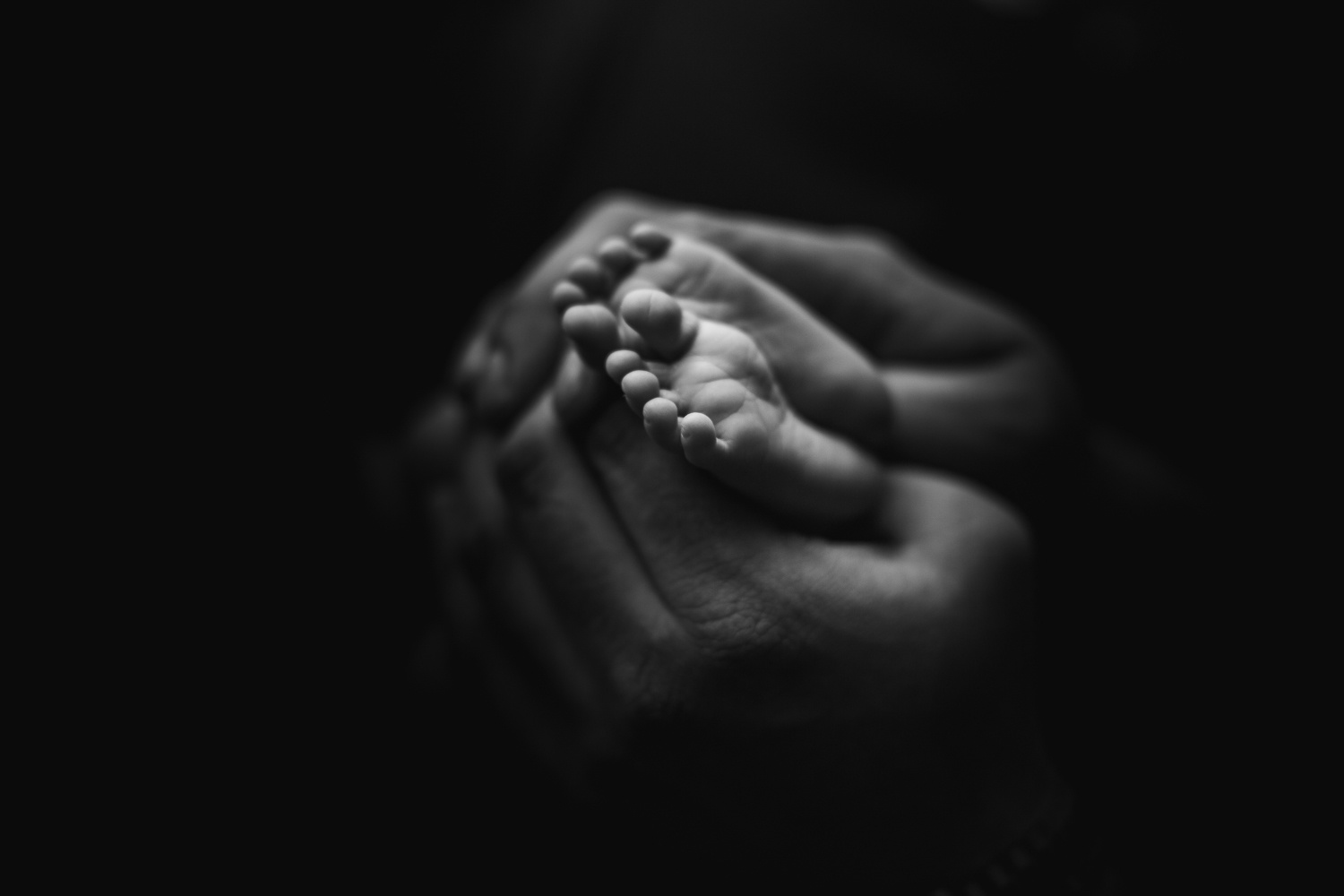 black and white feet and dad hand | jana newborn photography