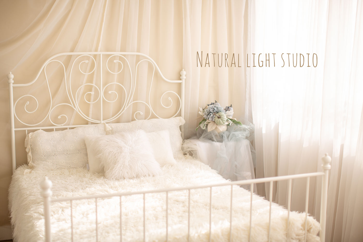 jana newborn photography natural light studio