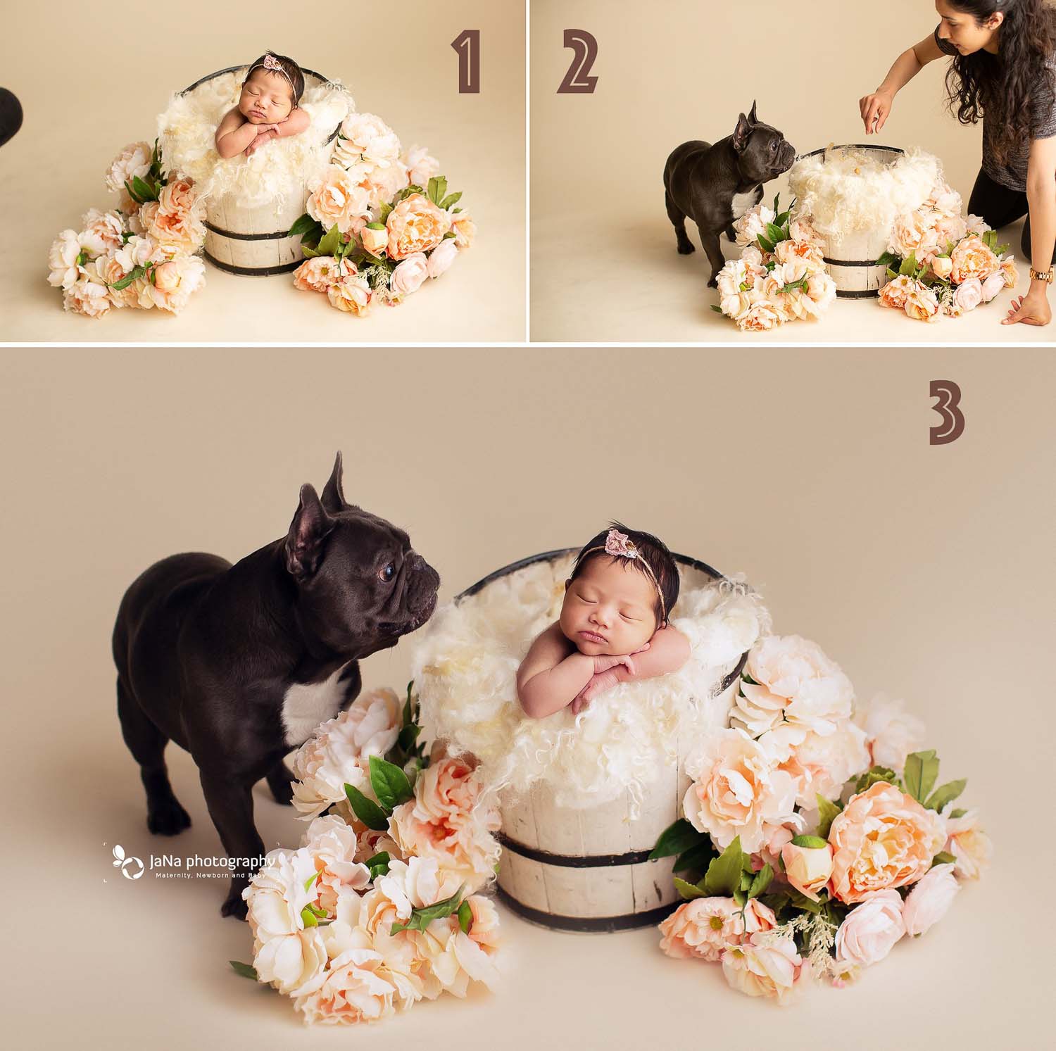 newborn baby girl posing in a bucket close to her dog | safety  