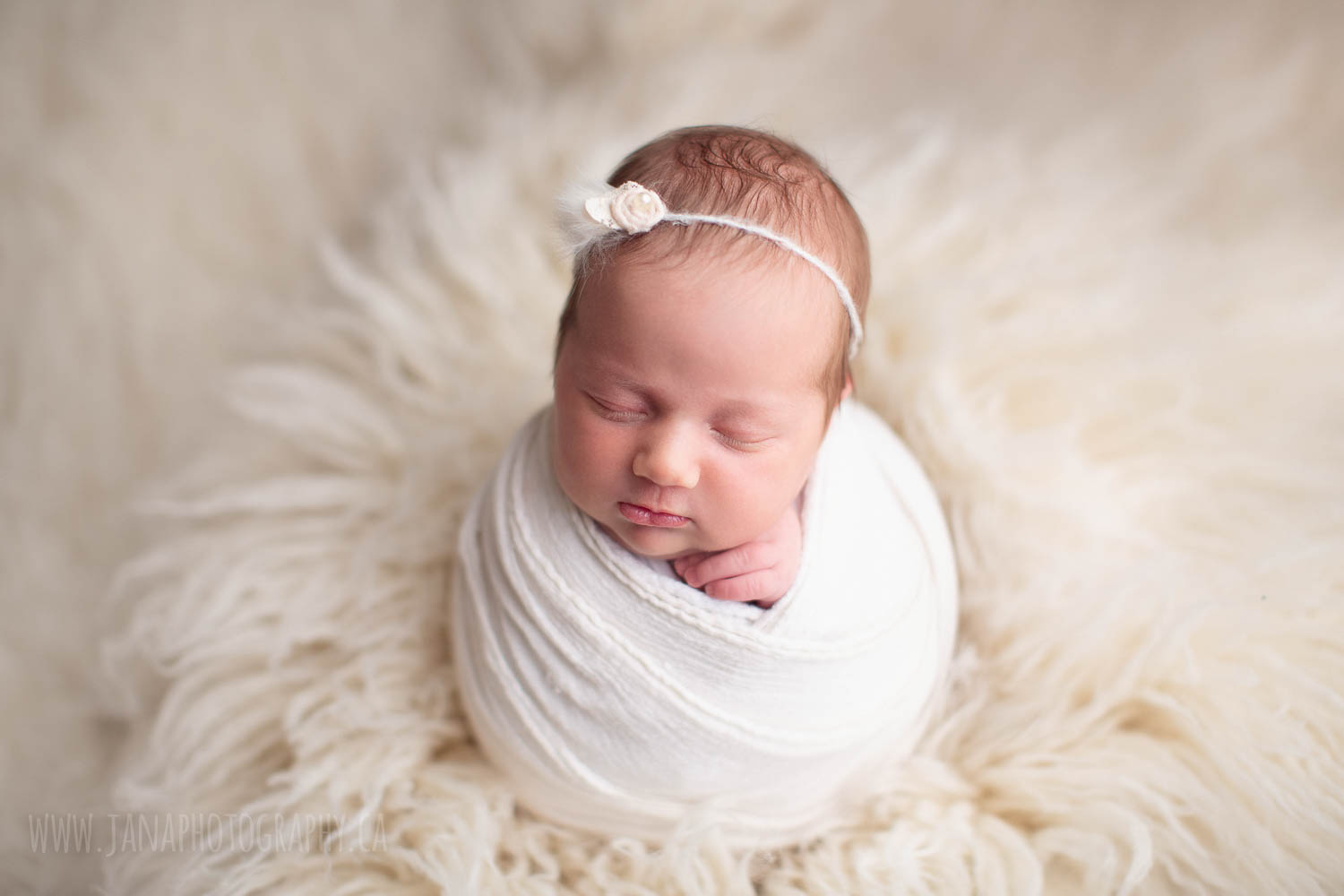 newborn baby girl - white wrap and setup - newborn photography