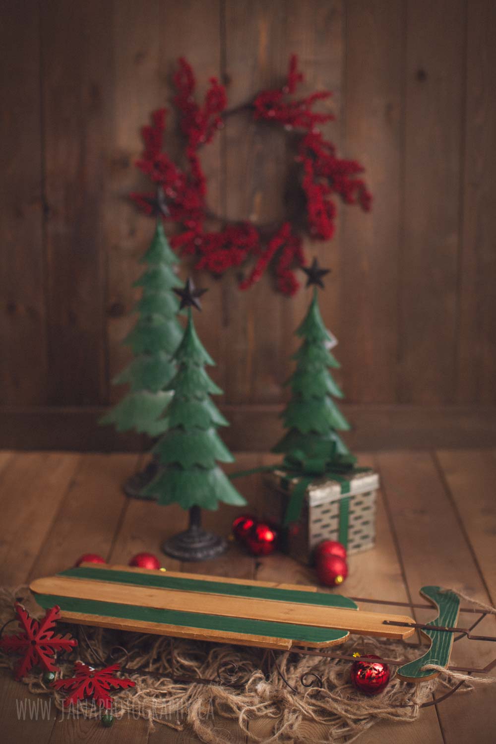 holiday mini session - brown and green setup