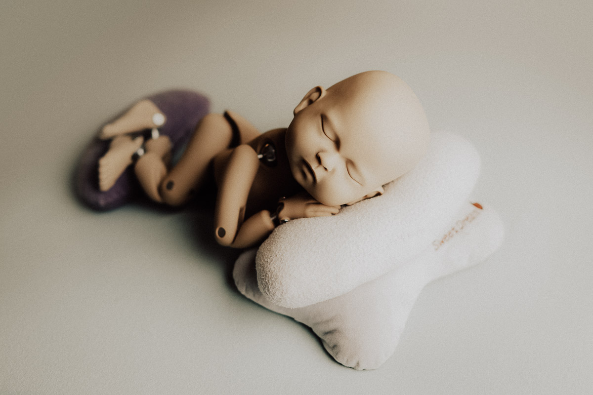 Beanbag Newborn Photoshoot Prop (Exclude Filling) - PixaPro