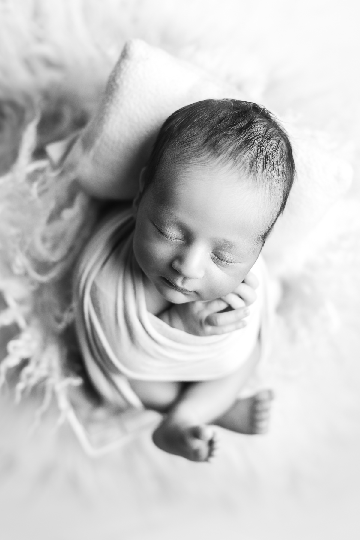 baby boy on a white back ground - black and white