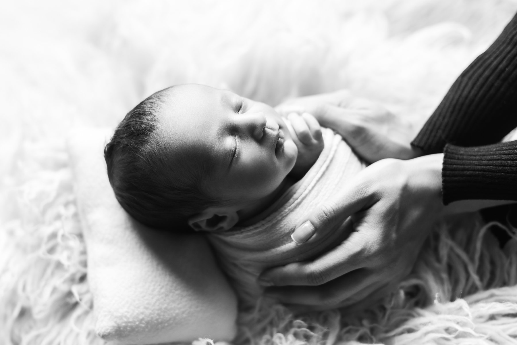 dad hands newborn baby boy - black and white
