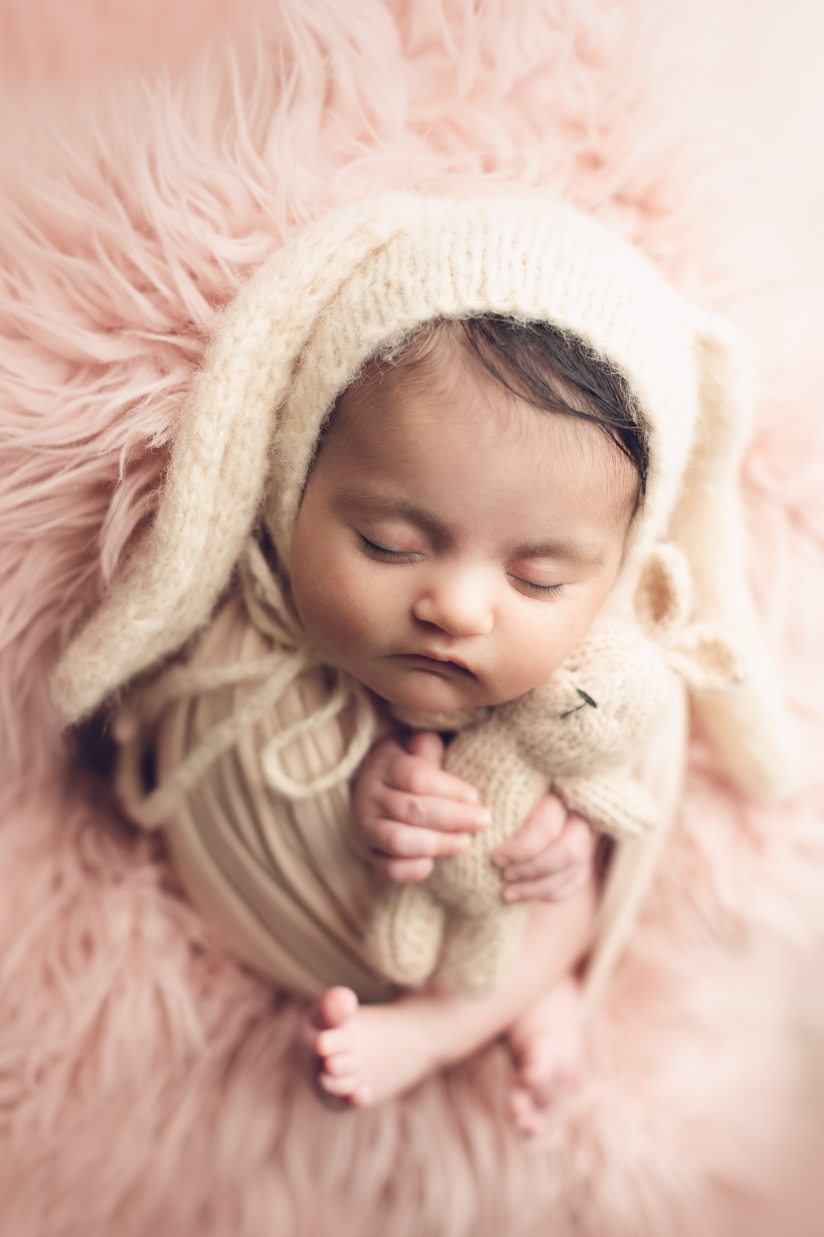 bunny newborn photography stuff animal