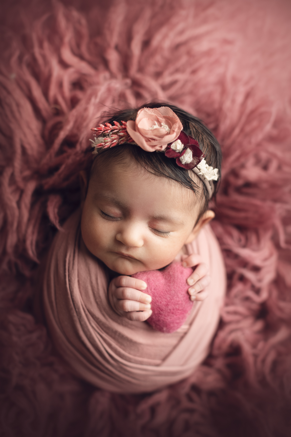 newborn photography mini package sample.