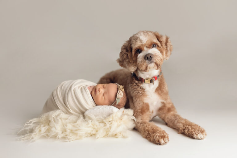 Why Burnaby Families Choose Our Newborn Photography Services
