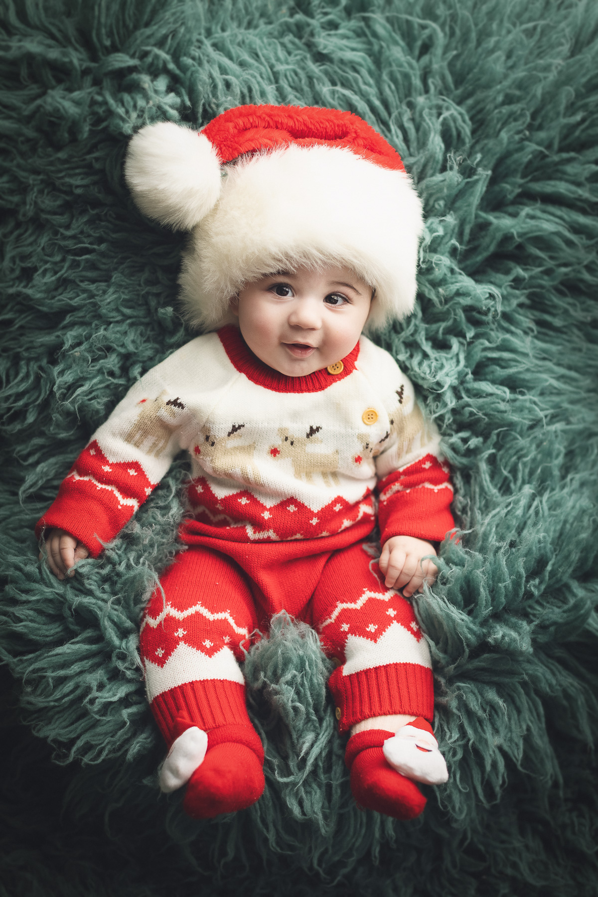 Christmas mini sessions Vancouver holiday green set