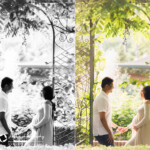 Vancouver maternity photography - Park Tilford Gardens