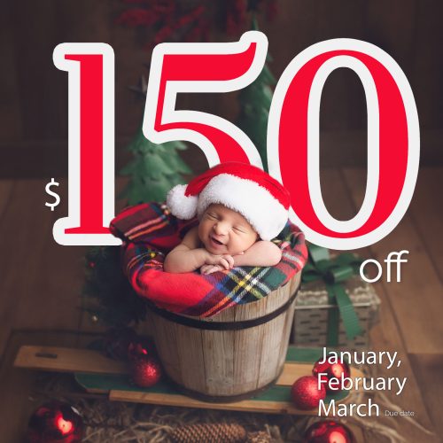 a newborn baby boy in a bucket - Christmas photography